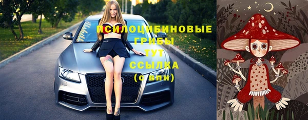 не бодяженный Алзамай