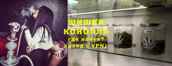 прущие грибы Арсеньев
