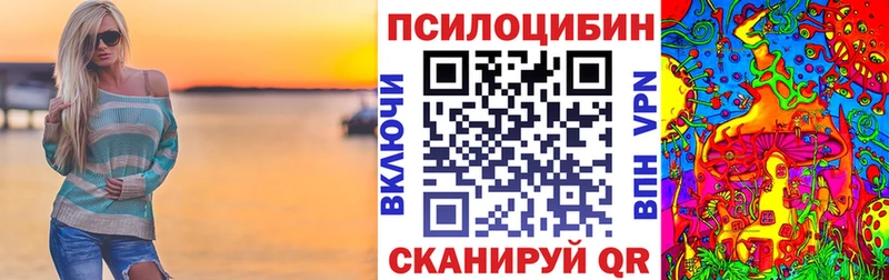 Псилоцибиновые грибы Cubensis  Бодайбо 